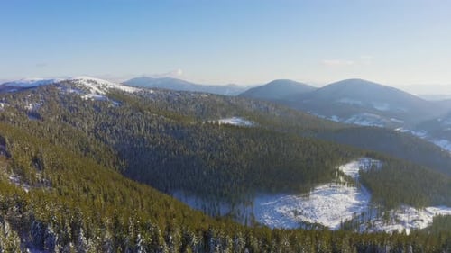 High Snowy Mountain Covered with Evergreen Fir Trees on a Sunny Cold Day