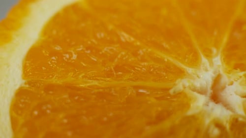 Orange Fresh Fruit Rotates