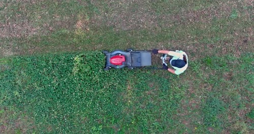 Using a Lawn Mower on a Green Lawn with Grass Cutting is a Garden Care Tool you Need to Use to Take