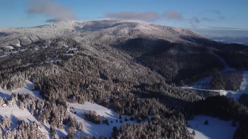 Aerial View of Winter Snowy Forest