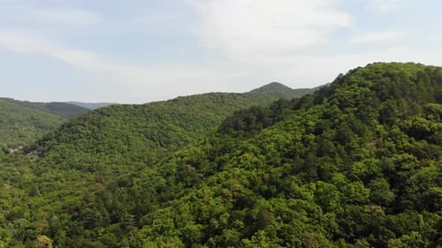 Aerial of flying over a beautiful green forest in a rural landscape.