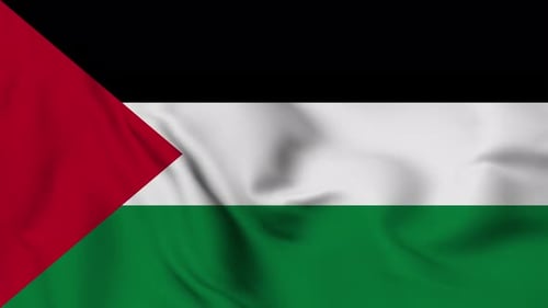 Realistic Fabric Waving Flag Of Palestine