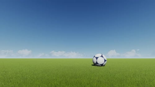 Beautiful Soccer Ball on Green Grass for Game Concept