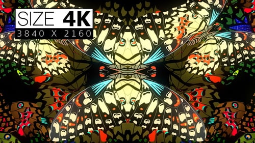 Decorative Butterfly 04