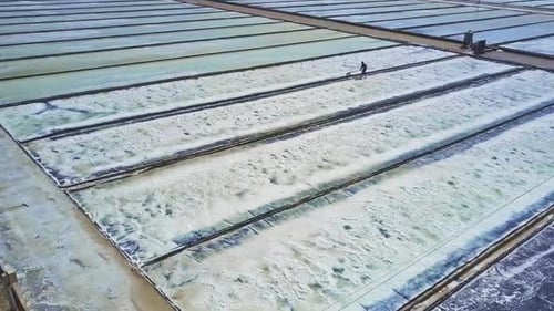 Salt Pond Workers Harvesting Salt, Aerial View