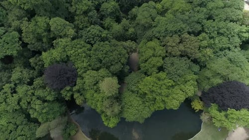 Forest River