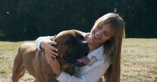 Woman Hugs and Pets Bullmastiff Dog Outdoors