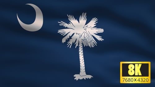 Waving South Carolina State Flag Animation Loop