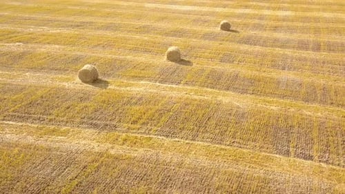 Field Haystacks