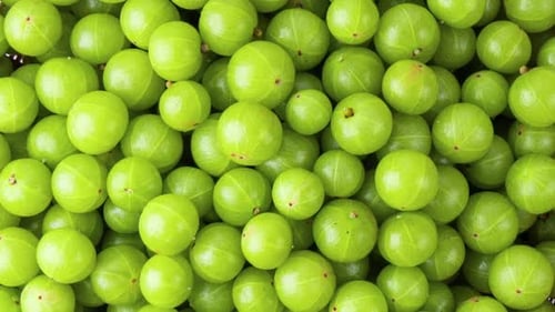 Fresh Indian Gooseberry Top View