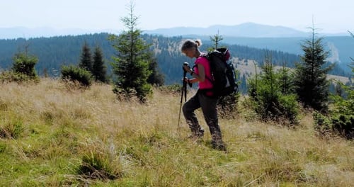 Woman Hiking in Mountain Meadow on Sunny Day