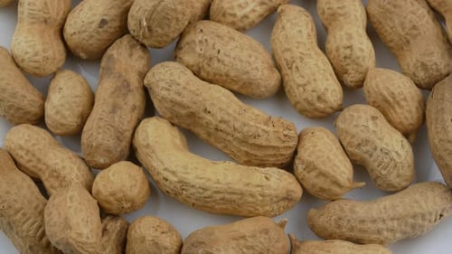Raw Peanuts in Shells Close Up View