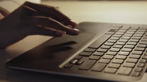 Internet User Female Worker Network Searching