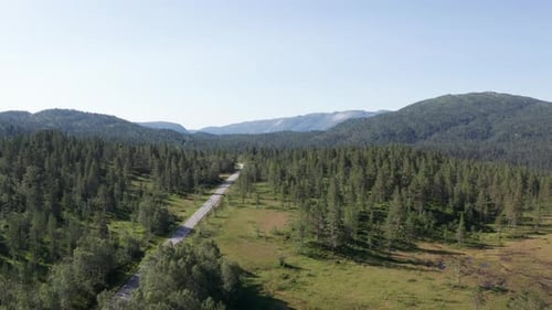 Drone Tacking a Vehicle Crossing the Highway in the Middle of the Wilderness