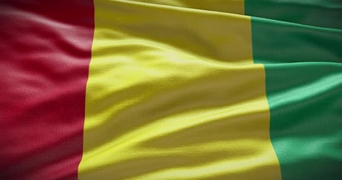 Realistic Guinea National Flag Waving Animation