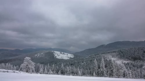 The Winter Mountain Forest