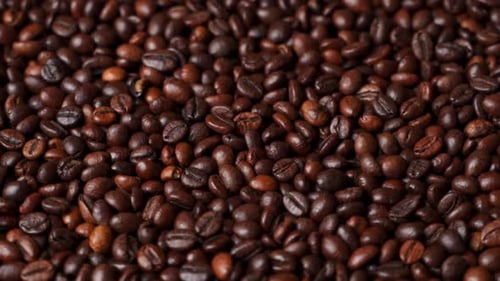 Close Up of Roasted Brown Coffee Beans Rotating