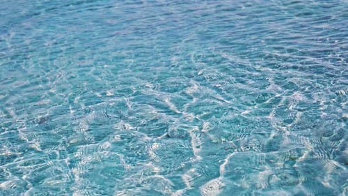 Sea (4K)
