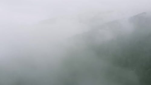 Misty Mountains and Forest from Aerial View