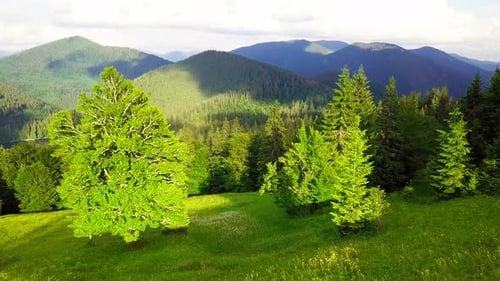 Weitwinkel-Panoramaaufnahme von wunderschönen Wiesen, Hügeln und Bäumen in der Synevyrska-Lichtung neben Synevyr