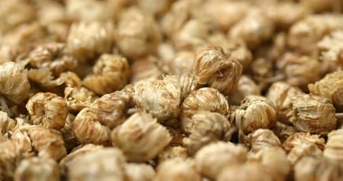 Dried Chrysanthemum Flowers Close Up Macro Shot