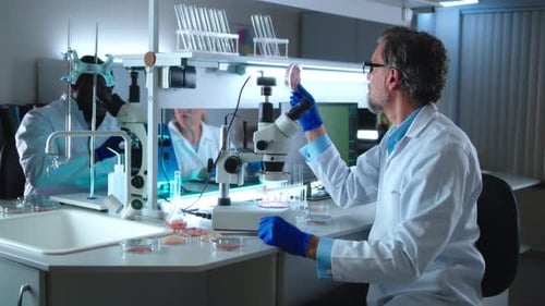 Scientists Working in Modern Bright Laboratory