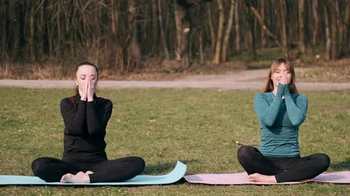 Women Doing Yoga in Park on Sunny Day