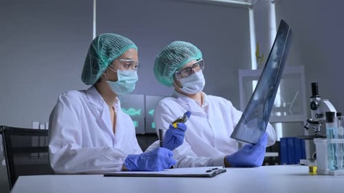 Scientists Reviewing X-Ray in Lab with Microscope