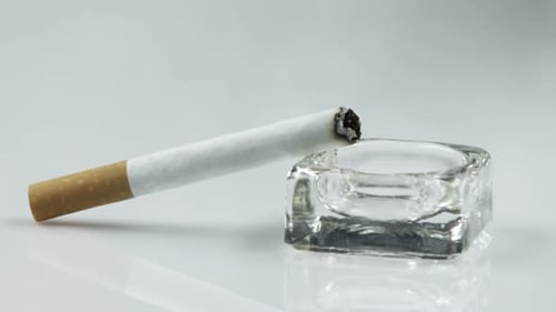 device that absorbs cigarette smoke Smoke Absorber | Hakko Smoke Absorber