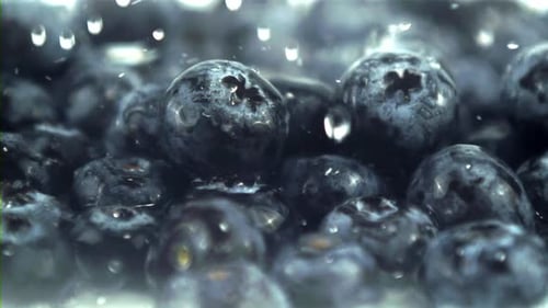 Super Slow Motion Drops of Water Fall on Blueberries