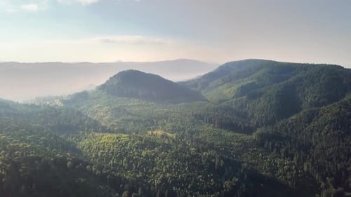 Aerial view of mountains covered with forest trees with blue sky above.