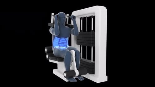 3D Animation of Abdominal Crunch Exercise with Muscle Highlight