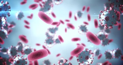 Animated Red Blood Cells and Viruses Flowing in Medical Stream