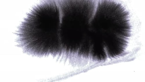 Black Ink Spreading on White Surface