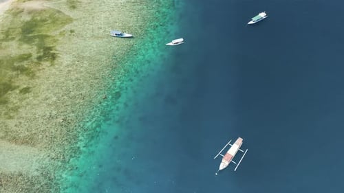 Aerial view of small boats and snorkellers on a coral reef