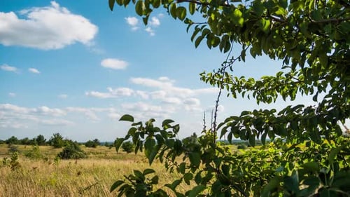 Bewegte Wolken am blauen Himmel über Landschaftsfeldern und Bäumen. Zeitraffer. Tolles ländliches Tal.
Ukraine