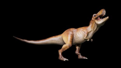 Animated 3D Tyrannosaurus Rex Roaring and Walking Cycle
