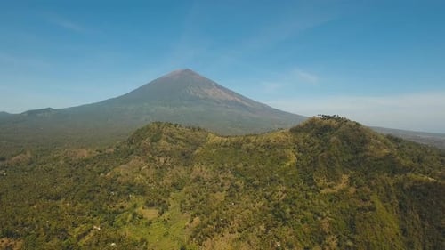 View of Mountain Forest Landscape