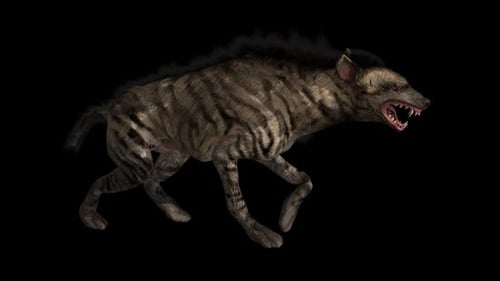 Hyena Walk 1
