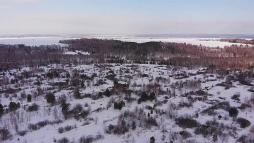 Winter Forest Gardens