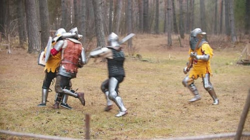 Knightes Having a Training Fight on the Field