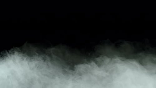 Steam