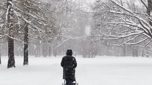 Heavy Snowfall in a Wild Park Large Flakes of Snow are Slowly Falling People are Walking in the