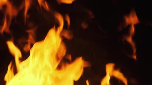 Bonfire Burning at Night. Flames of Campfire at Nature. Slow Motion 240 Fps