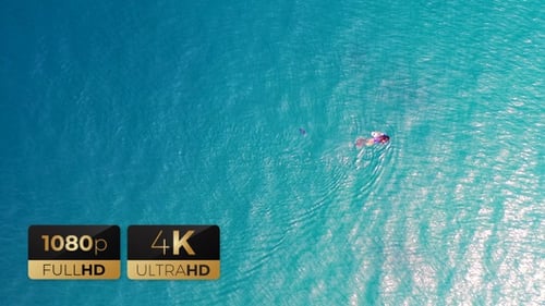 AH - Aerial View of Divers Swimming 03