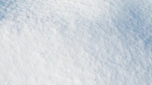 Tiro a la nieve
