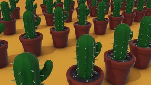 A Lot Of Cactus In A Pots 4k