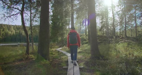 Travel Blogger Man with Backpack Hike in Forest