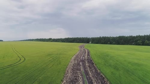 Protective Plowing of the Field