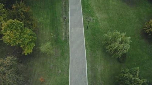 Flight over the autumn park in cloudy weather.